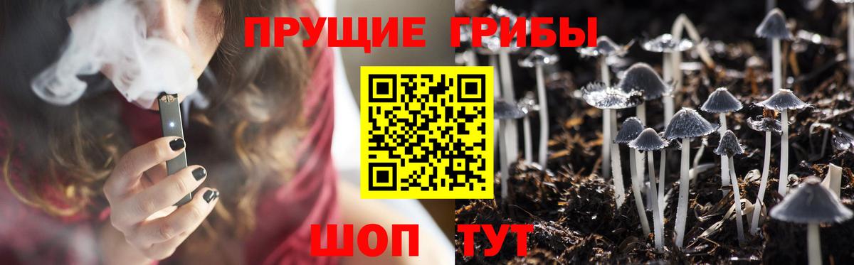 Галлюциногенные грибы Psilocybine cubensis Сергиев Посад